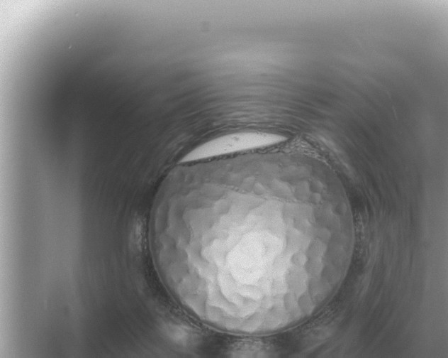 X0000068270123200605051825