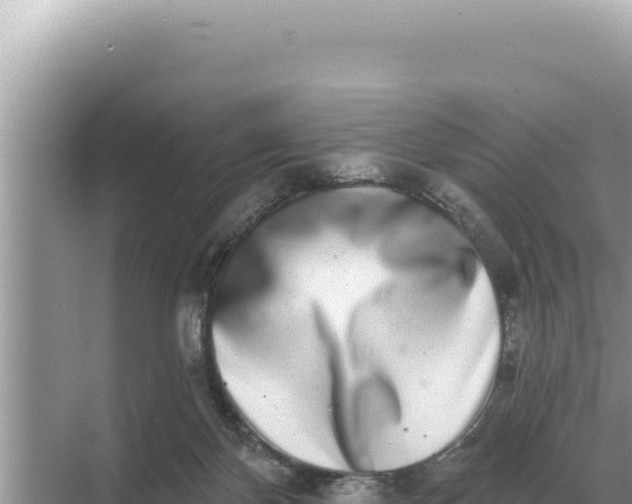 X0000068270124200605051825