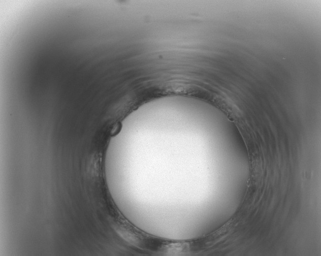 X0000068270126200605051825