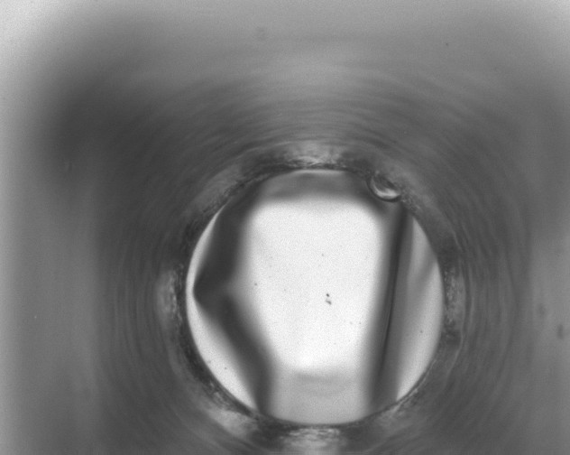 X0000068270128200605051825