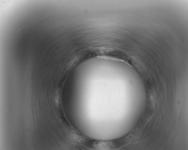 X0000068270129200605051825