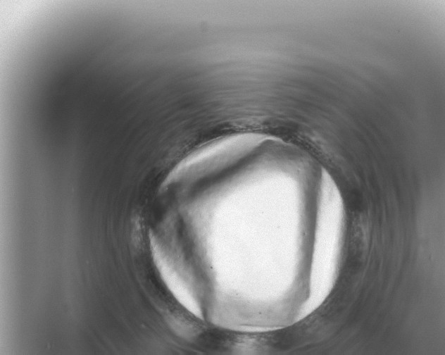 X0000068270130200605051825