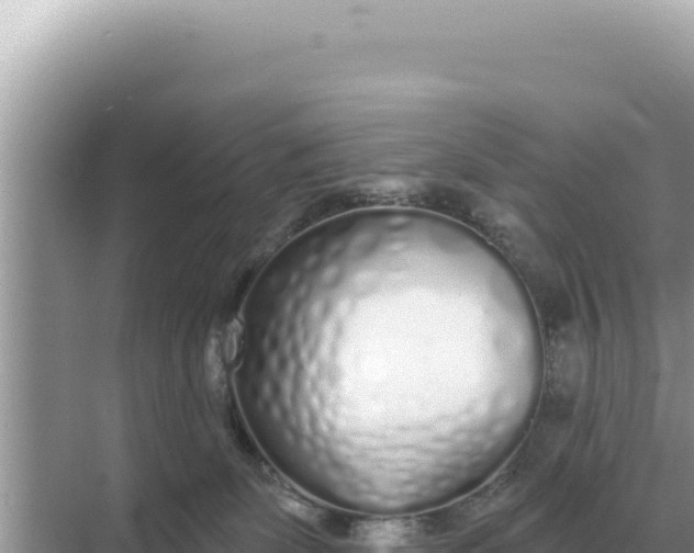 X0000068270131200605051825