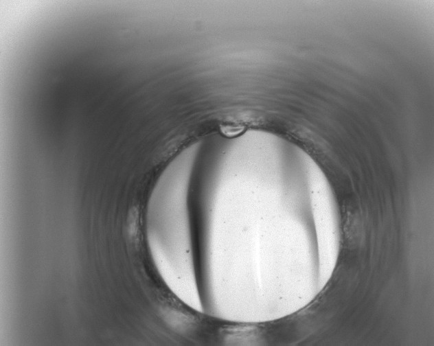 X0000068270132200605051825