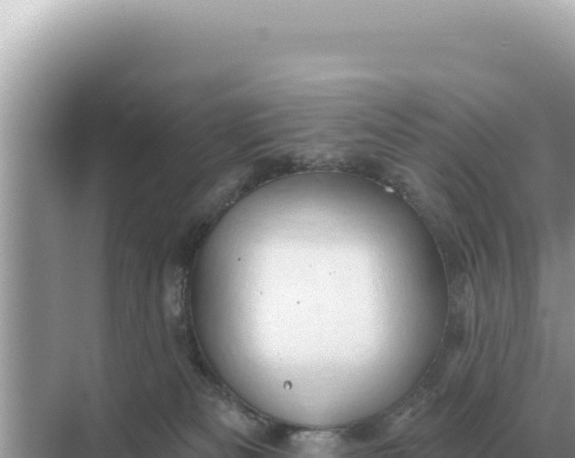 X0000068270133200605051825