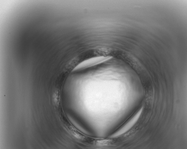 X0000068270134200605051825