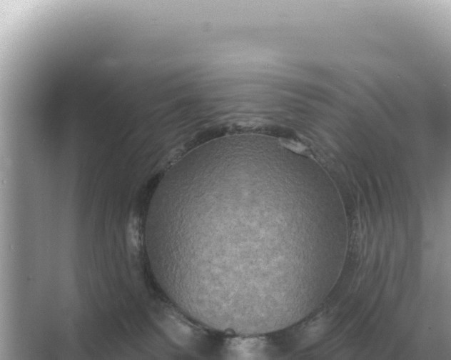 X0000068270135200605051825