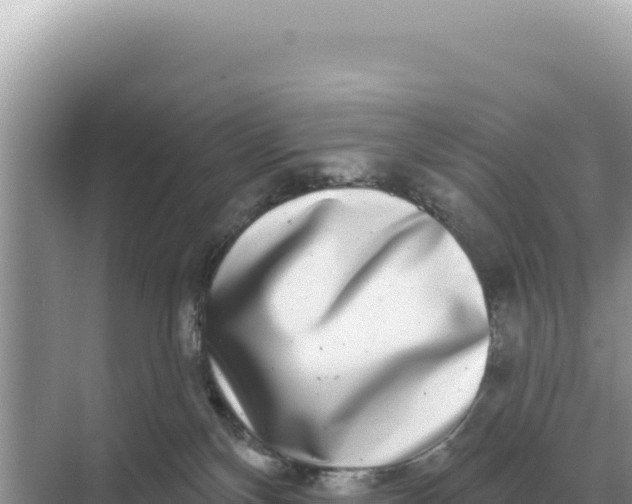 X0000068270136200605051825