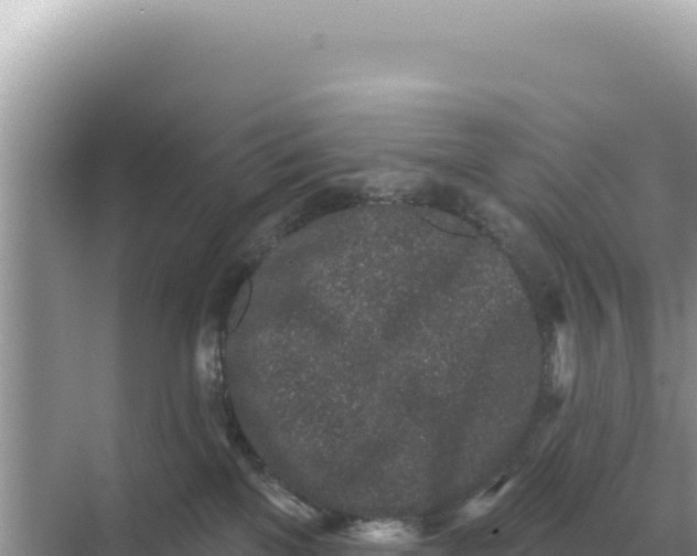 X0000068270137200605051825