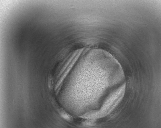 X0000068270138200605051825