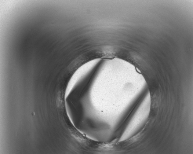 X0000068270140200605051825