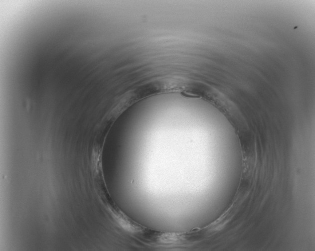 X0000068270142200605051825