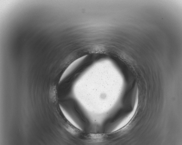 X0000068270144200605051824