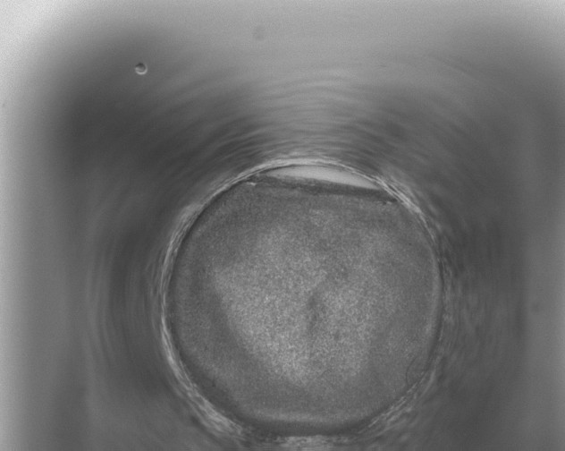 X0000068270145200605051824