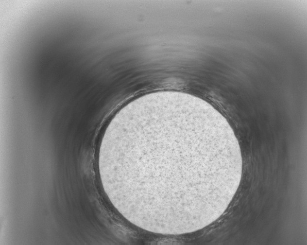 X0000068270146200605051824