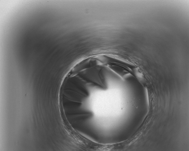 X0000068270148200605051824