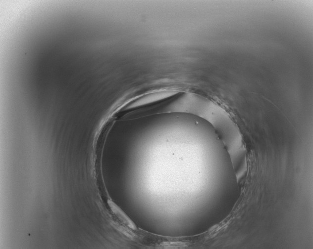 X0000068270150200605051824