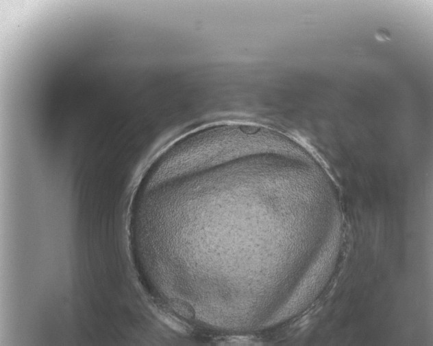 X0000068270151200605051824