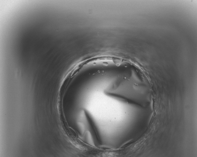 X0000068270152200605051824