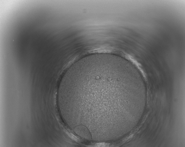 X0000068270153200605051824