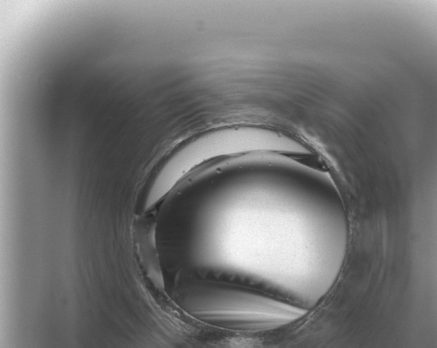 X0000068270154200605051824