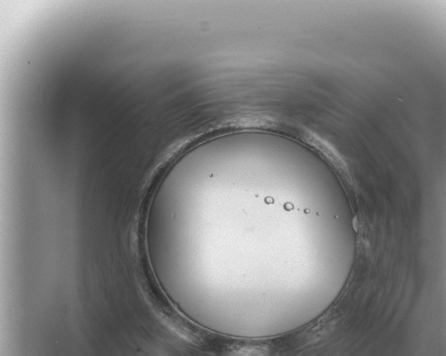 X0000068270155200605051824