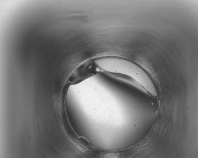 X0000068270156200605051824