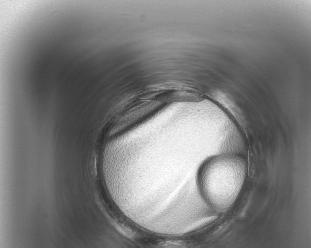 X0000068270157200605051824