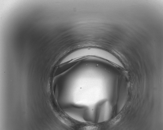 X0000068270158200605051824