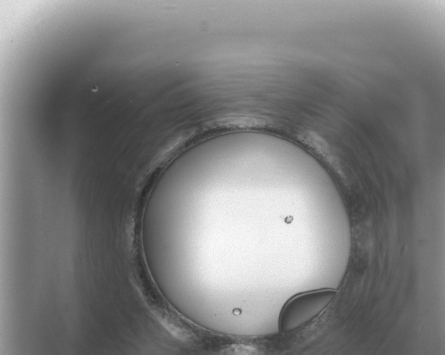 X0000068270159200605051824