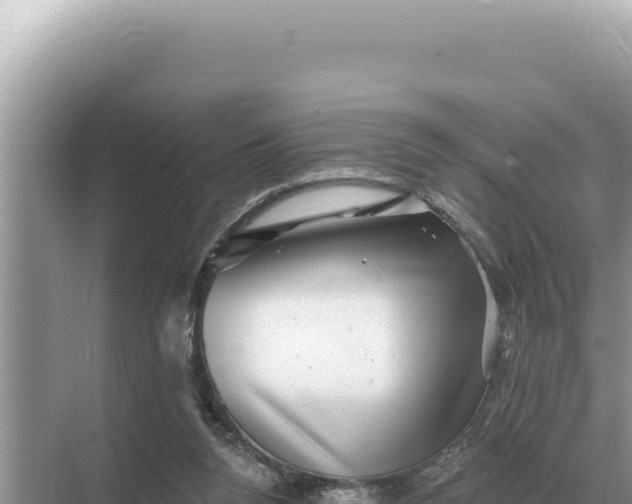 X0000068270160200605051824