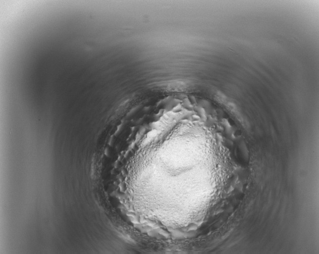 X0000068270161200605051824