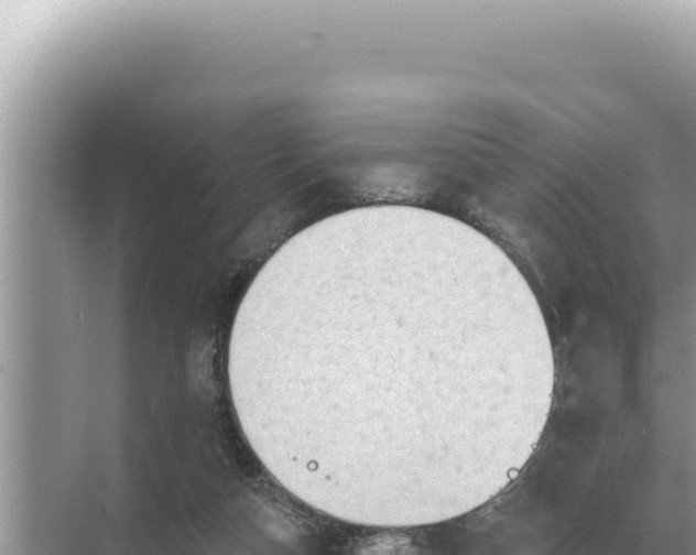 X0000068270162200605051824