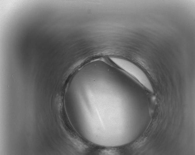 X0000068270164200605051824