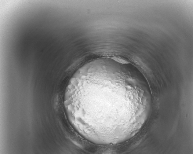 X0000068270165200605051824