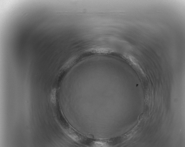 X0000068270167200605051824