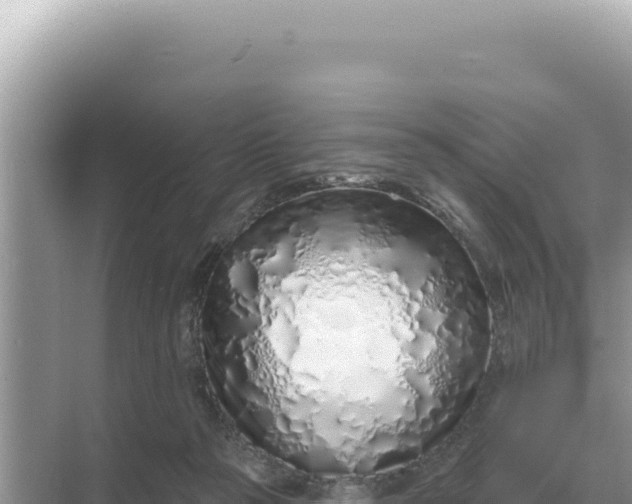 X0000068270169200605051824