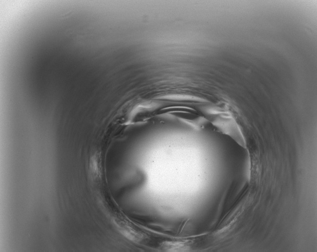 X0000068270170200605051824