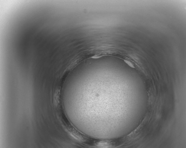 X0000068270171200605051824