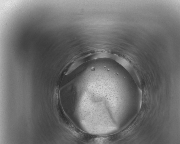 X0000068270172200605051824