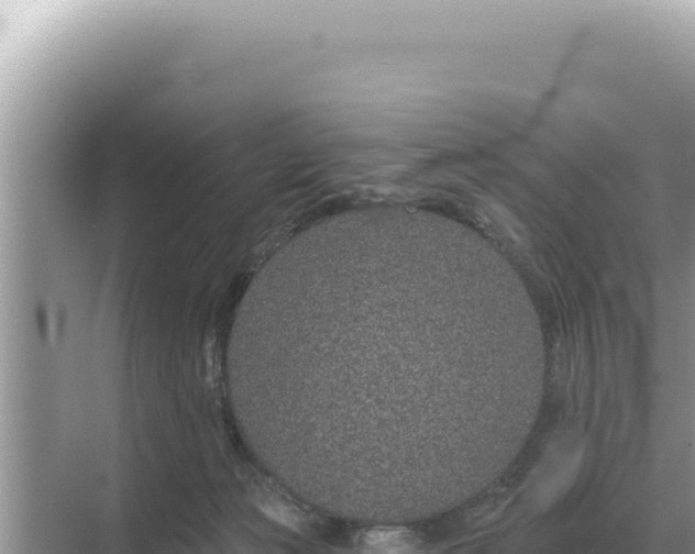 X0000068270173200605051824