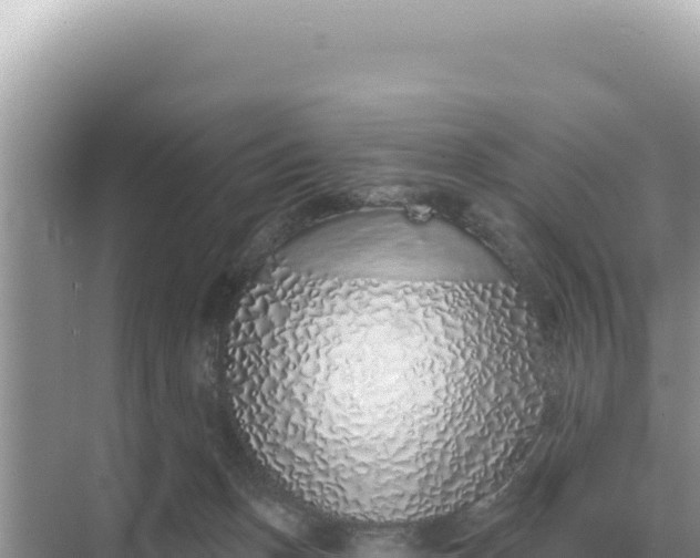 X0000068270175200605051824