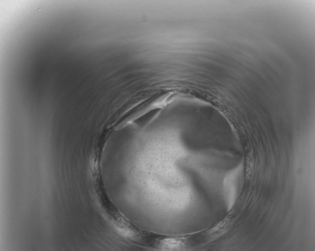 X0000068270176200605051824