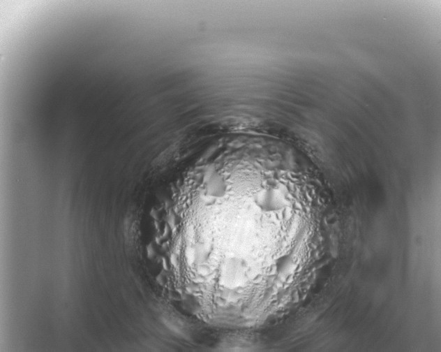 X0000068270177200605051824