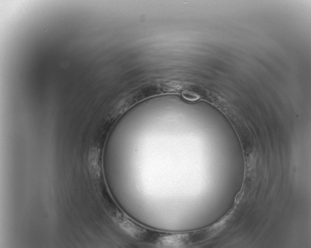 X0000068270178200605051824