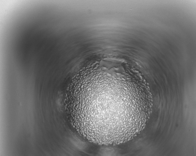 X0000068270181200605051824