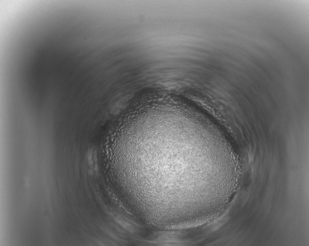 X0000068270182200605051824