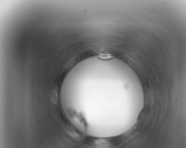 X0000068270183200605051824