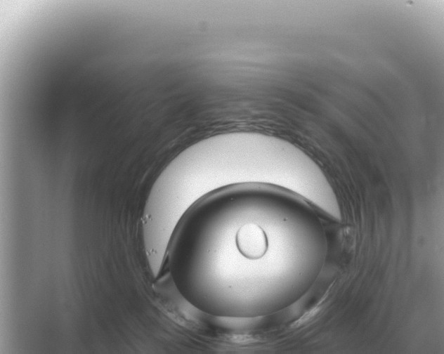 X0000068270184200605051824