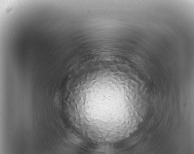 X0000068270185200605051824